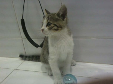 Kiffy